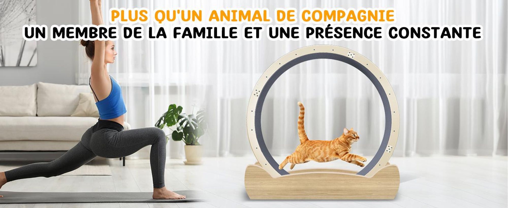 GTPLAYER Roue d'exercice pour chats, roue d'exercice pour chats, extra grande 100 cm, roue d'exercice ultra silencieuse avec tapis et jouets amovibles, autocollants, verrouillage, geeign