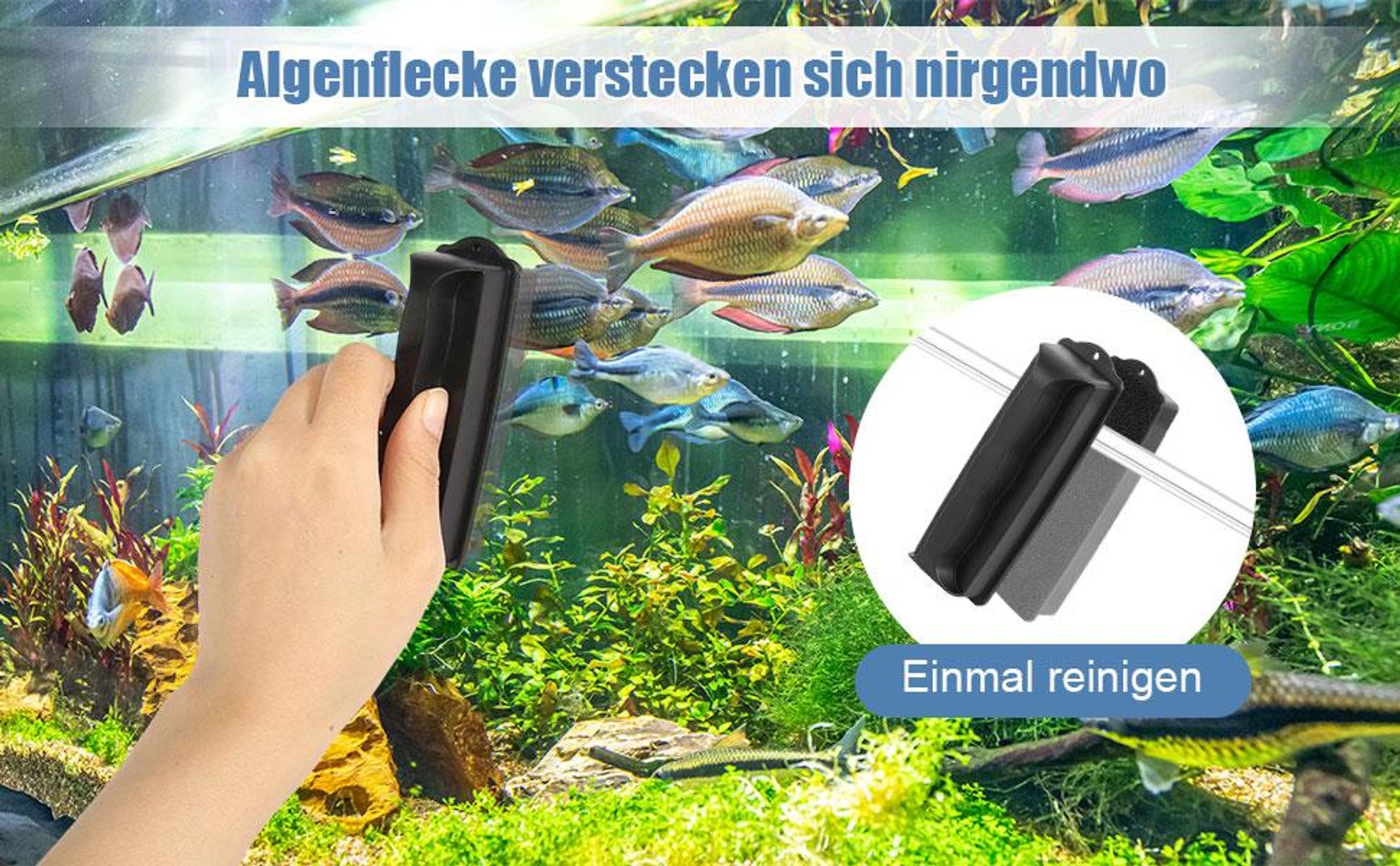 Scheibenreiniger, Aquarium Reiniger Bürste magnetisch, Magnetscheibenreiniger, Algenmagnet Aquarium, Aquarium Scheibenreiniger
