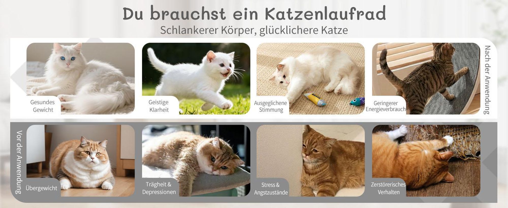 FCH Katzenlaufrad, Laufband für Katzen, Innendurchmesser 80cm, PP-Kunststoff, leise Laufband und Sicherheitsschloss-Design, Schwarz