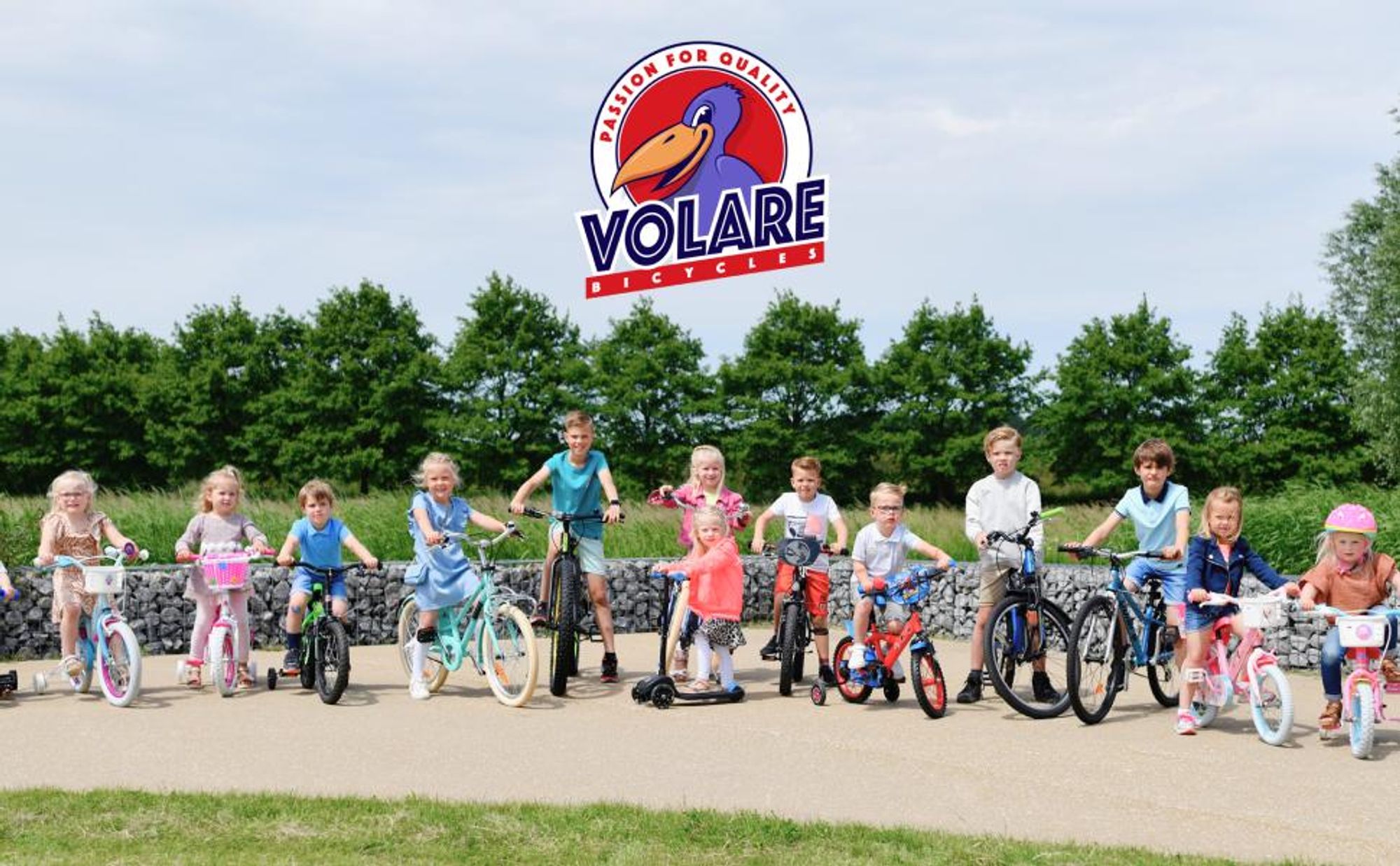 Volare Thombike Kinderfahrrad - Jungen - 14 Zoll - Schwarz Rot