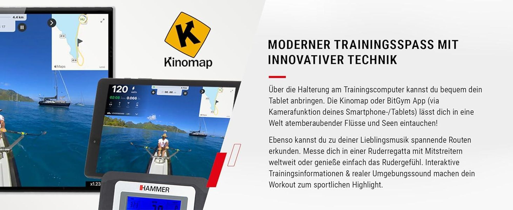 HAMMER Rudergerät Cobra XTR Plus II, innovativer Trainingscomputer, max. 130 kg