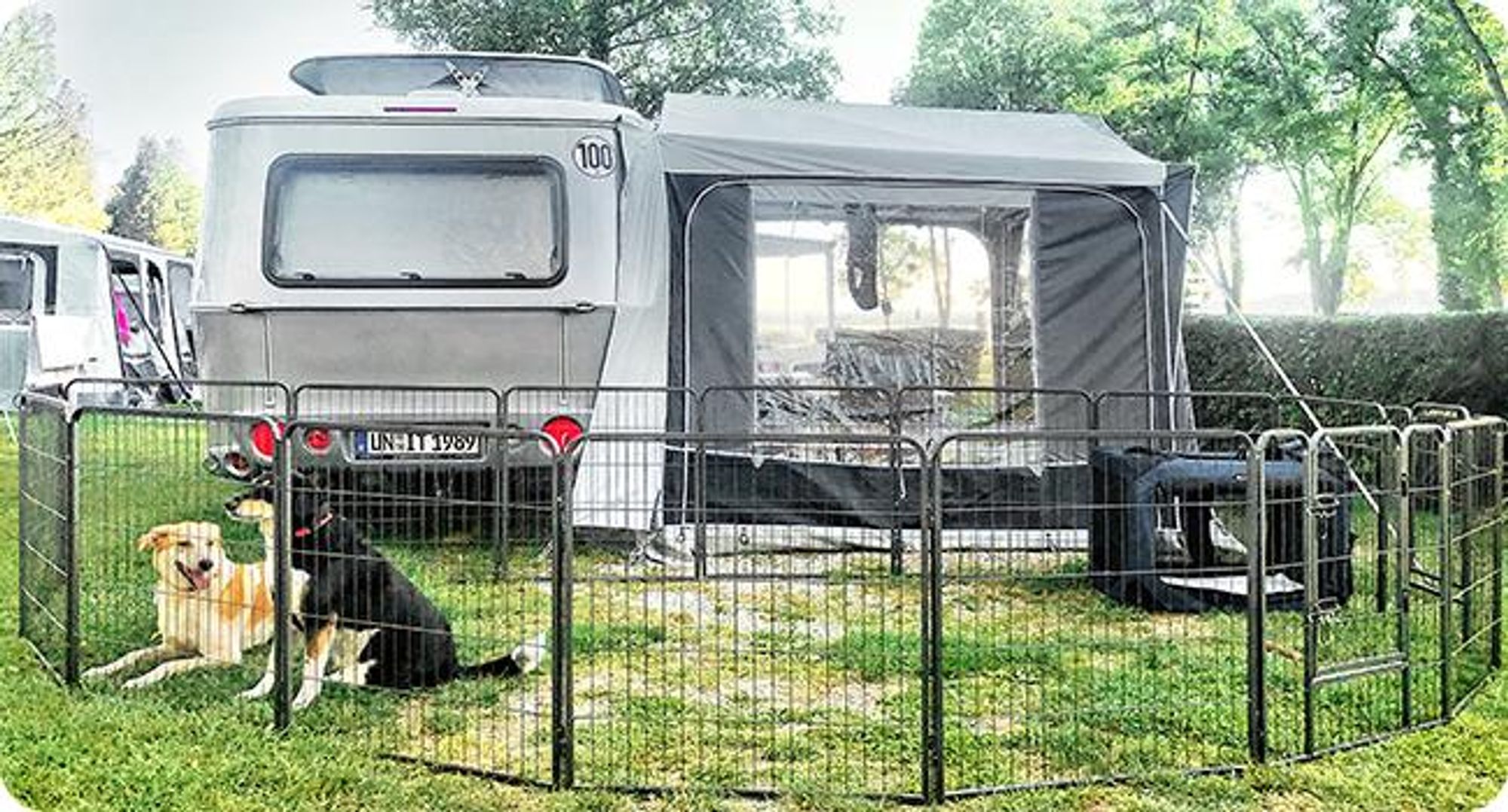 Feandrea Welpenauslauf, Freilaufgehege, Hundelaufstall, transportabel