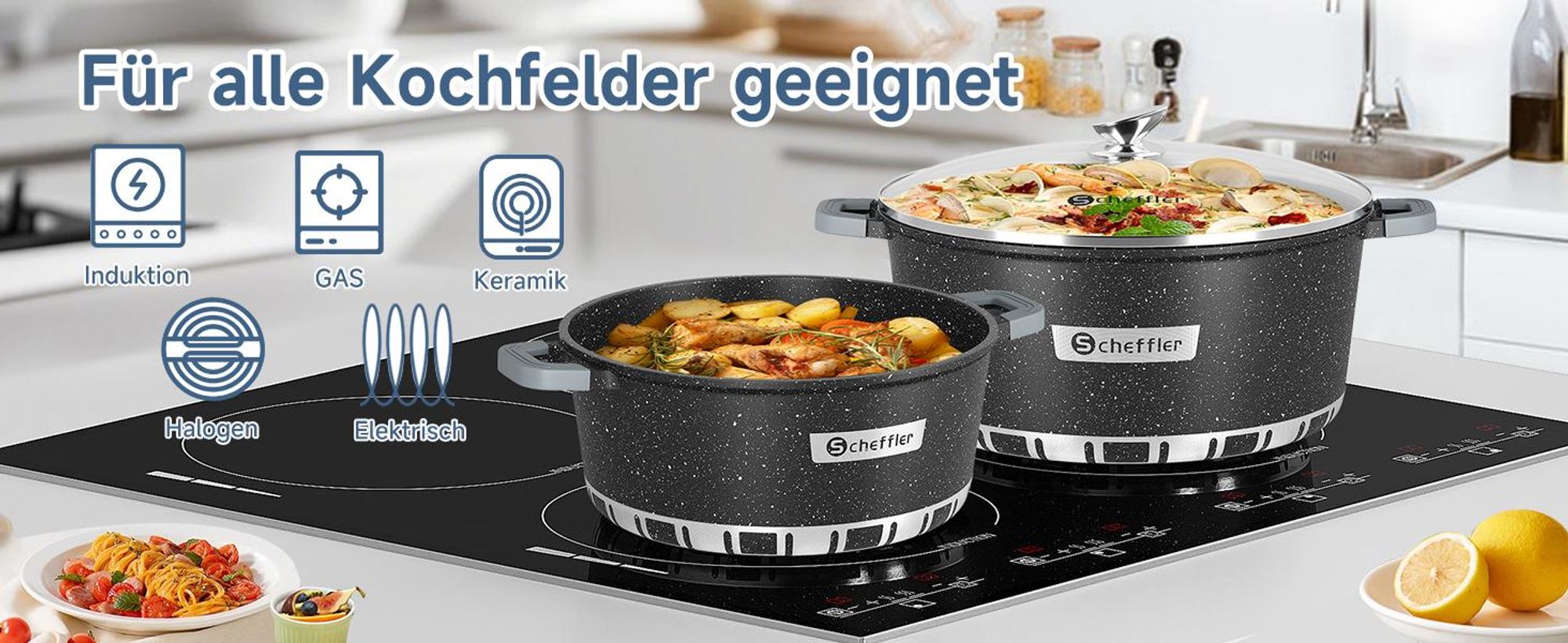 Topf Scheffler Topf Induktions Kochtopf mit Deckel, Antihaftbeschichtung, 20cm/2,6L Topf, für alle Herdarten, Aluminium-Kochtopf