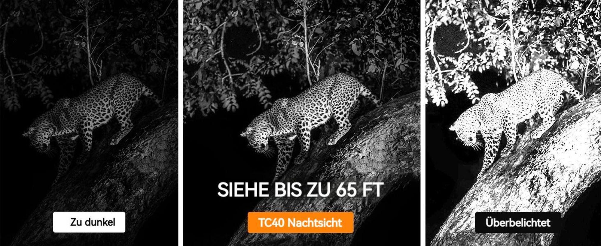Wildkamera 4K 48MP Wildtierkamera Solar mit Bewegungsmelder Nachtsicht, 120°Erfassungswinkel