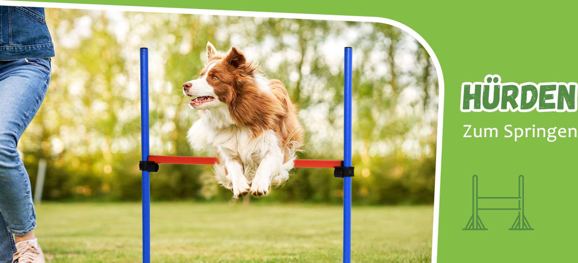 Pawhut Hunde Agility Slalom Übung Hundesport Training Reifen Hürde Set 2 Modelle