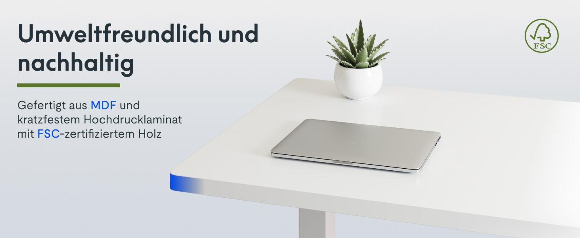 FLEXISPOT Höhenverstellbarer Schreibtisch  EU, 22mm Einteilige Tischplatte 160x80cm, Elektrisch mit 2 starken Motoren, 4 Memory-Funktion (Weiß)