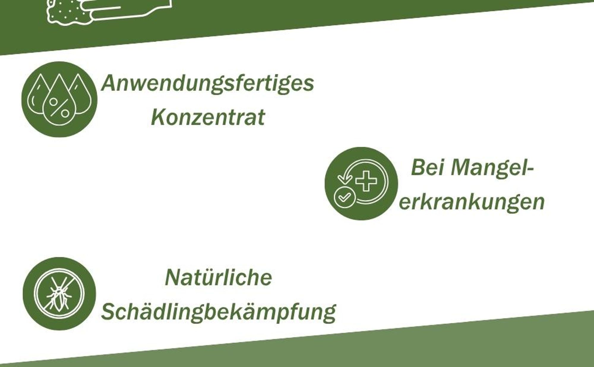 GreenPanda Monstera Dünger & Philodendron Dünger - 1L Blatt-Boost Dünger für Monstera - Flüssigdünger für Zimmer - & Balkonpflanzen