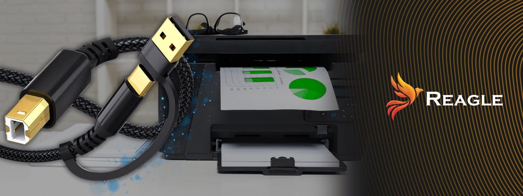 REAGLE USB KABEL FÜR DRUCKER 3M SCANNER 2IN1 USB-A USB-B HP BROTHER EPSON +USB-C Universelle Verbindung mit modernen und älteren Computern und Laptops