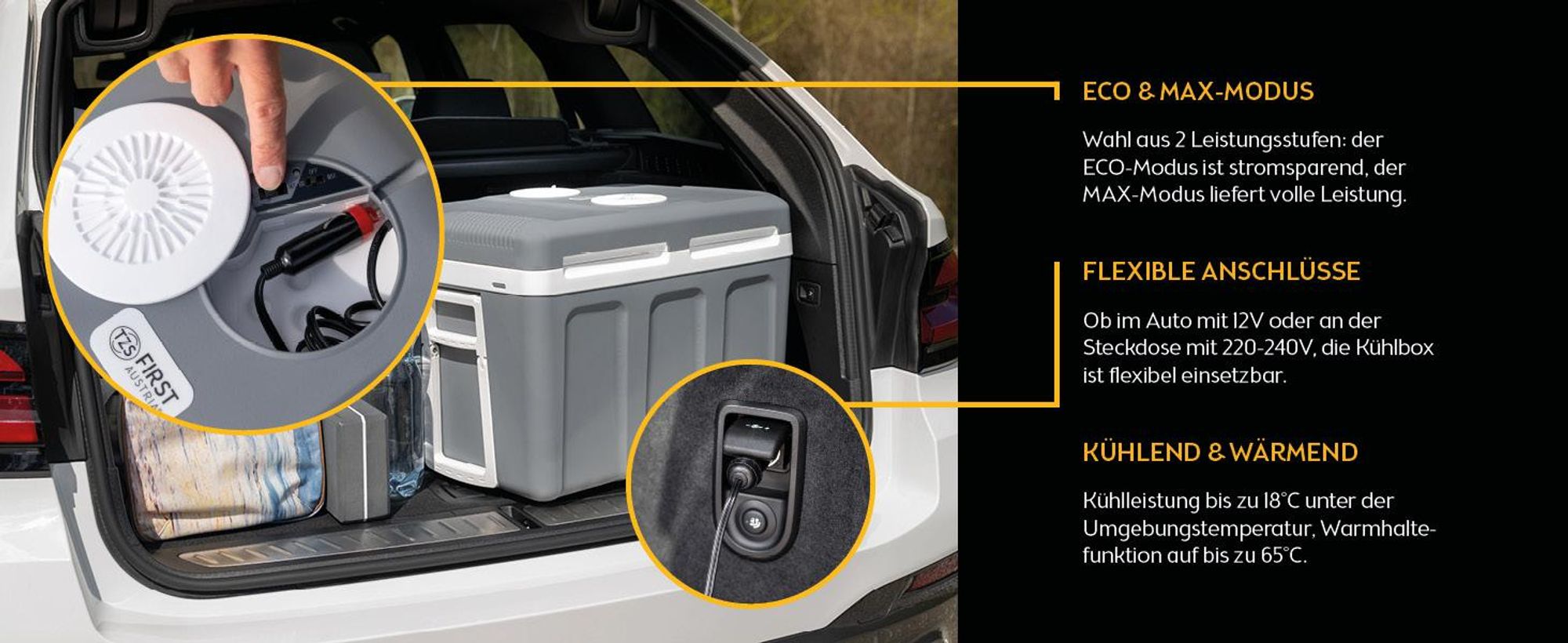 TZS First Austria - Kühlbox 45L elektrisch 12V 230V Anschluss für Auto & Steckdose - Thermoelektrisch - Grau