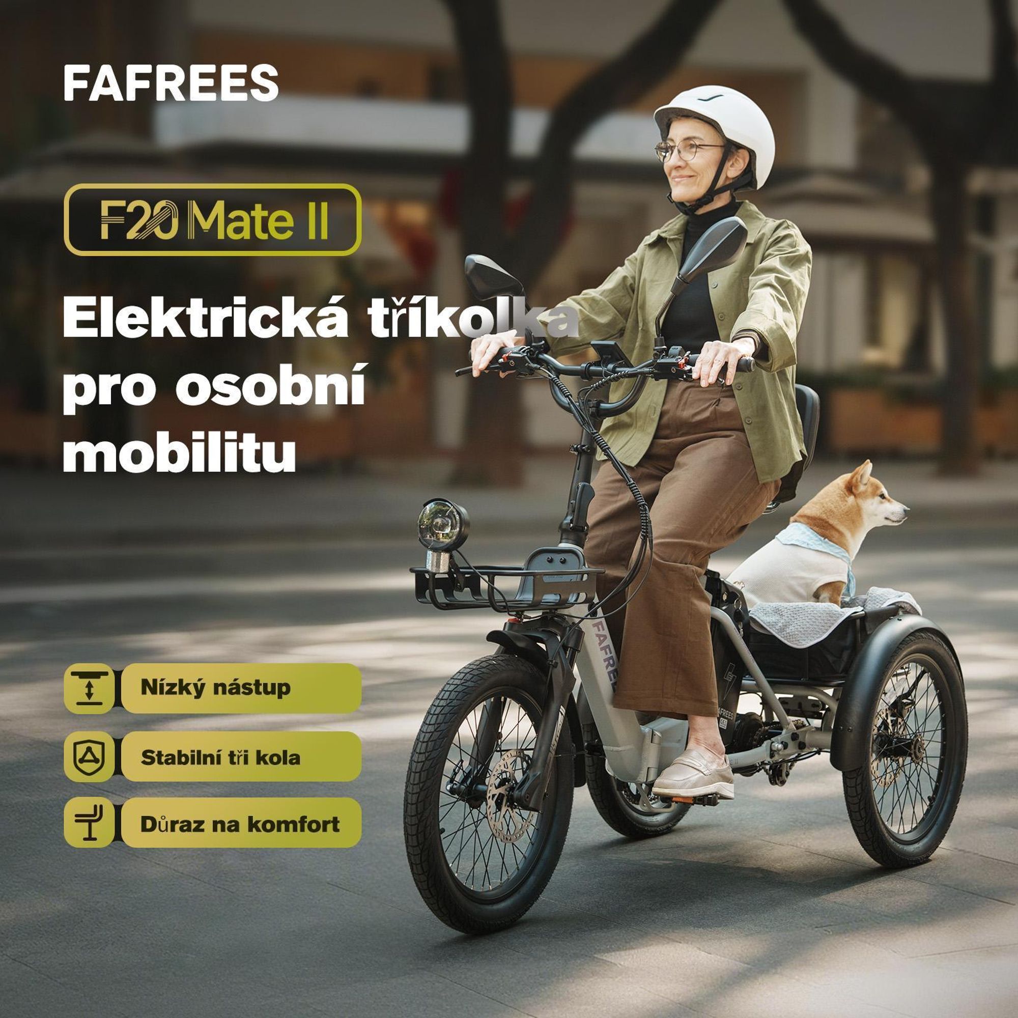 Elektrokolo FAFREES F20 Mate II - Motor 250W Baterie 48V25AH 20 Palce Pneumatiky Hydraulická kotoučová brzda - Armádní zelená
