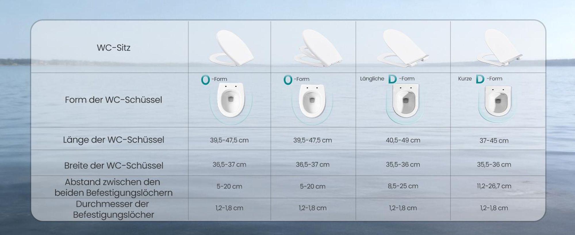 SONGMICS WC-Sitz lange D-Form, Absenkautomatik, abnehmbarer Toilettendeckel, Griff, einfache Montage, bis 300 kg, weiß