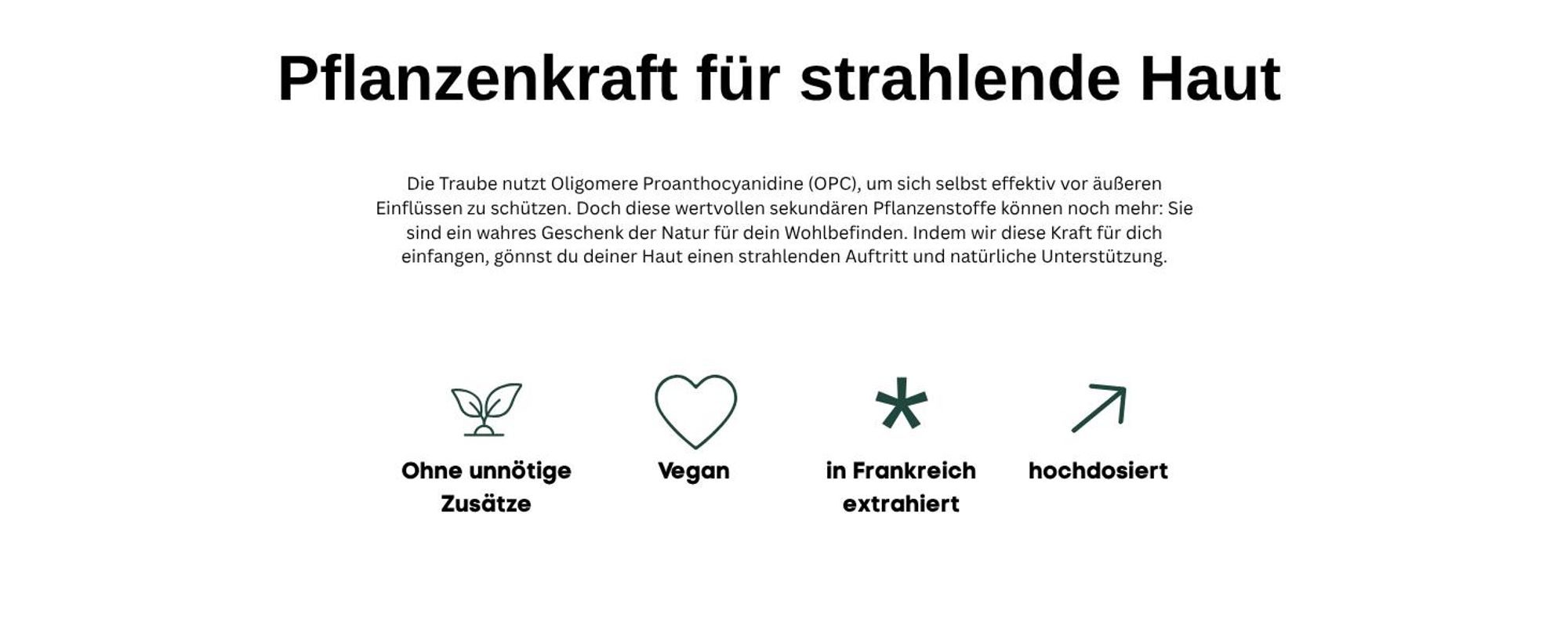OPC Traubenkernextrakt: Vorteile im Ueberblick