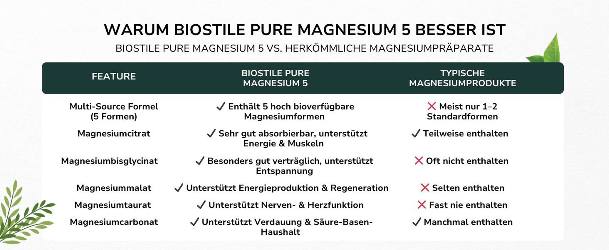 <b>Grafische</b> Darstellung der fünf Magnesiumverbindungen Malat, Citrat, Bisglycinat, Gluconat & Succinat