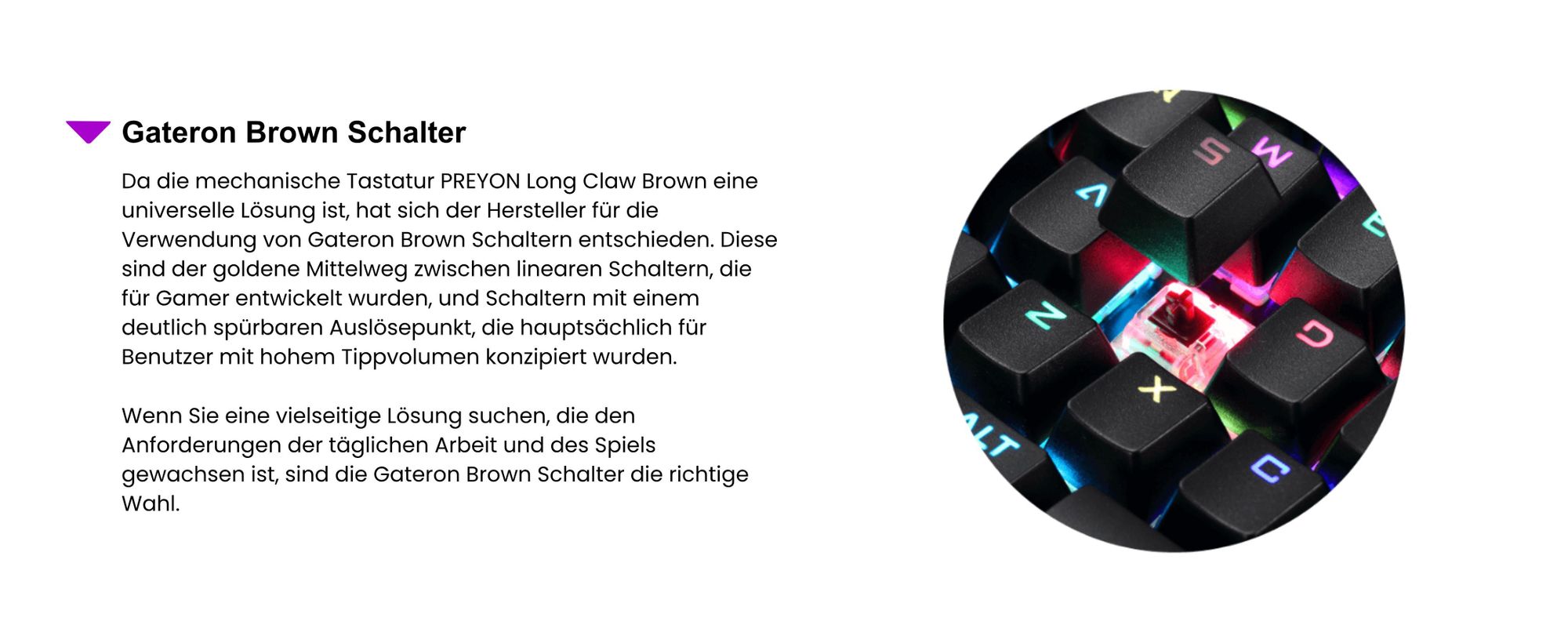 PREYON Long Claw Brown Tastatur Gaming-Tastatur - Handballenauflage - 104 Tasten - Gateron Brown Schalter - Aluminiumgehäuse - RGB-Beleuchtung - Beleuchtungsmodus - Software - USB-Durchgangsanschluss