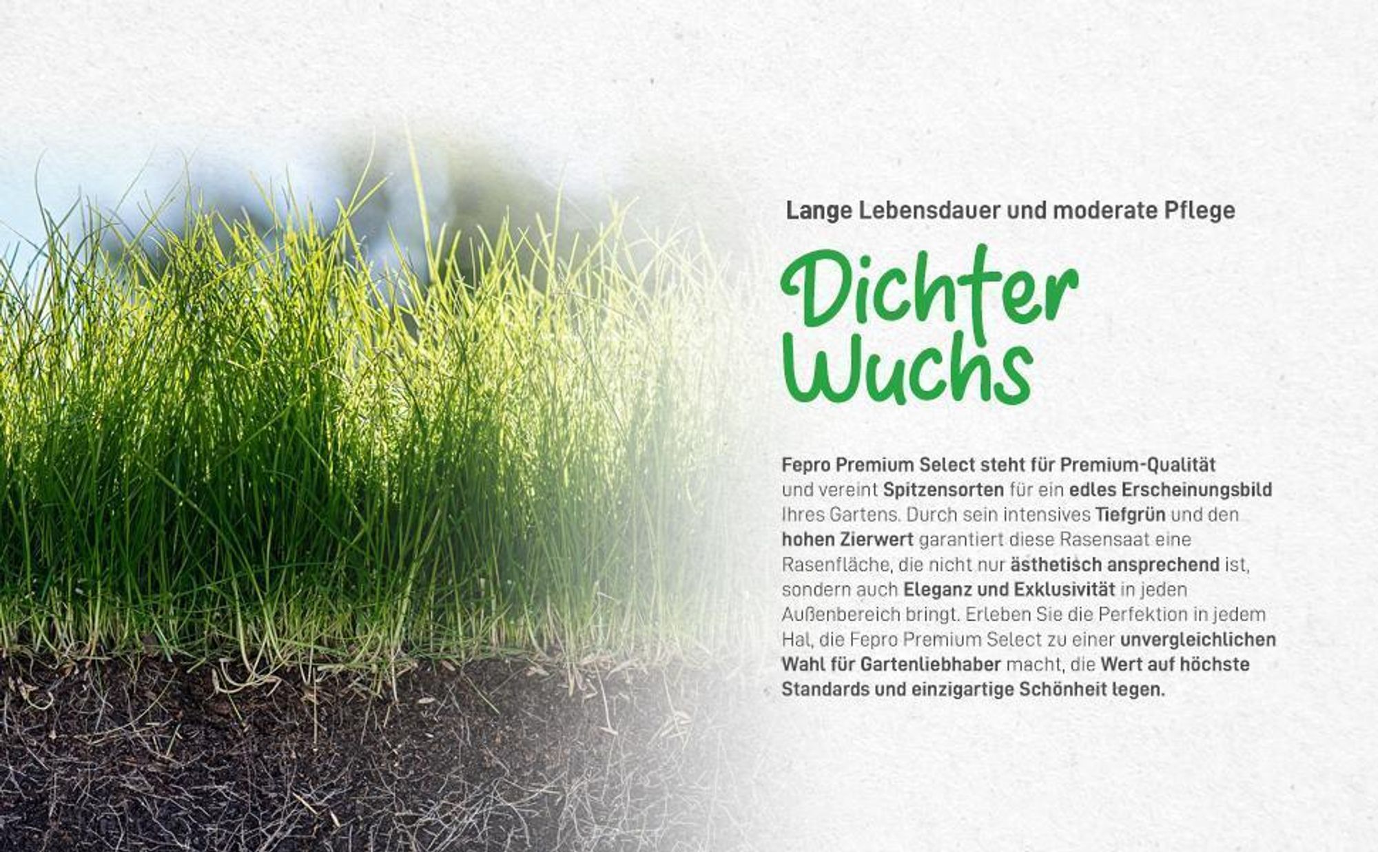 20kg Premium Rasensamen für Profis 800m², Zierrasen Superrasen, besonders dichtwachsend und tiefgrün, ideal für Neuansaat und Nachsaat, Rasensaat Grassamen