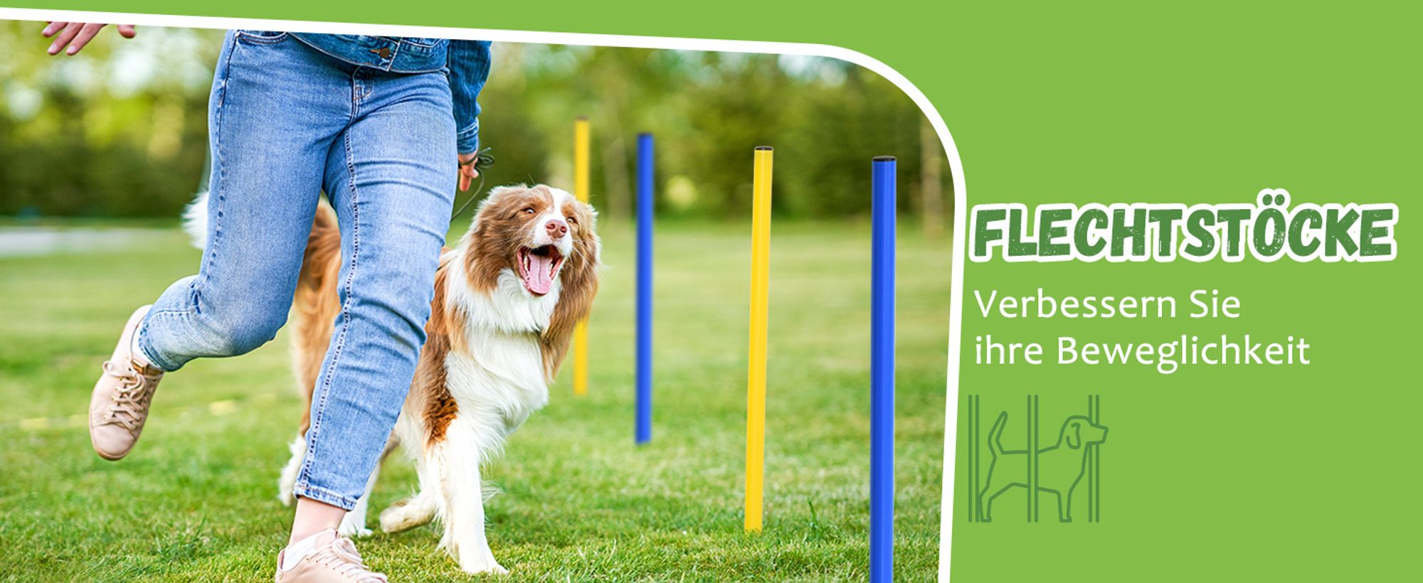 PawHut Hunde-Agility-Trainingsgeräte, Hunde-Agility-Parcours, Hund Agility Set
