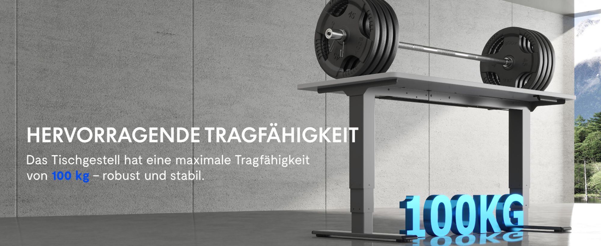 FLEXISPOT EC5-Lite Elektrisch Höhenverstellbares Tischgestell, Doppelmotor, 3-stufige Beine, 100kg Tragkraft, 4 Speicherplätze, Kollisionsschutz, Grau