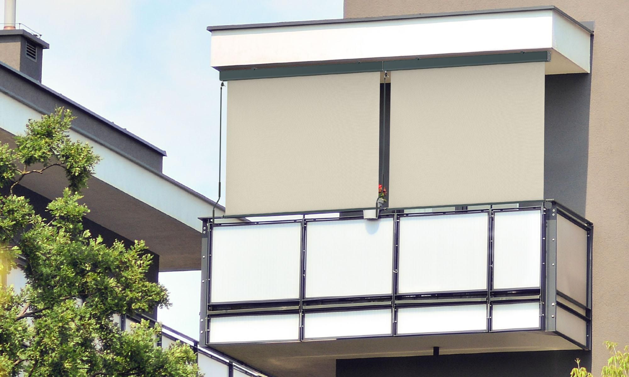 Senkrechtmarkise Balkon 160x250cm Markise mit Kassette Sichtschutz Outdoor Anthrazit Beige paramondo Senkrechtmarkise 2000