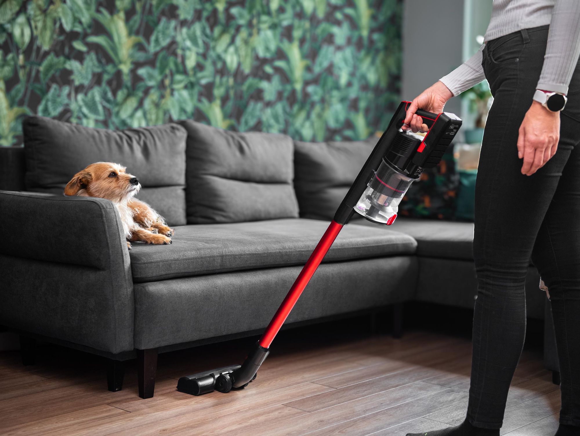 LEHMANN Aspirateur Balai sans Fil 3 en 1, 45min Autonomie, Réservoir 1,8L, Brosse LED, Filtre HEPA