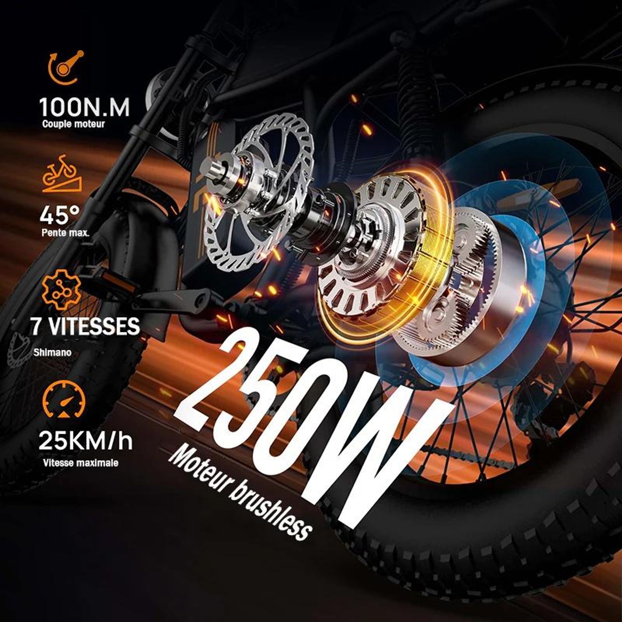 URLIFE T2 Vélo Électrique - Moteur 250W Batterie 48V 15.6Ah Pédalier assisté Freins à disque - NoirFreins à disque - Noir