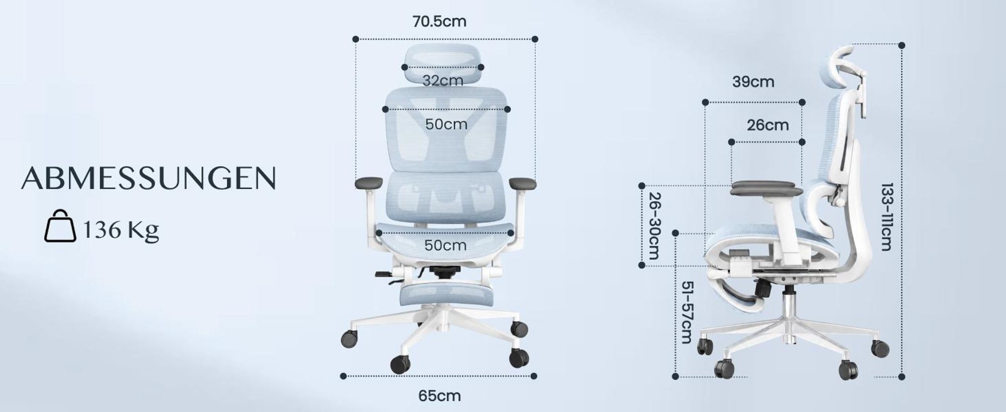 FLEXISPOT ErgoX Ergonomischer Bürostuhl mit Fußstütze, 3D-Armlehnen & Kopfstütze, 5D-verstellbare Rückenlehne, Tragfähigkeit von 136 kg, Blau