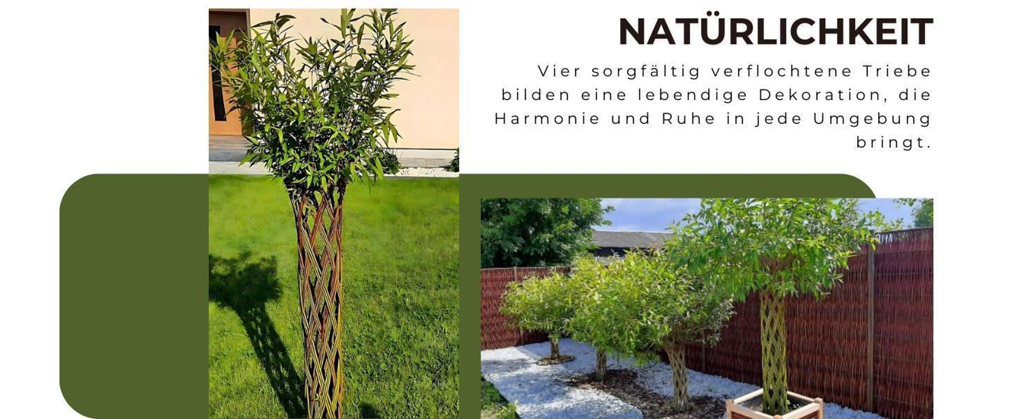 Geflochtener Weidenbaum 180 cm Geflochtene Weide - Dekoration für Terrasse und Garten Junge Weidentriebe
