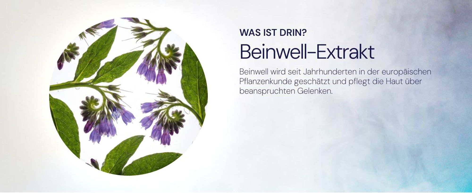 Artodip Gel Wärmegel & Massagegel 50 ml für Gelenke, Muskeln & Rücken