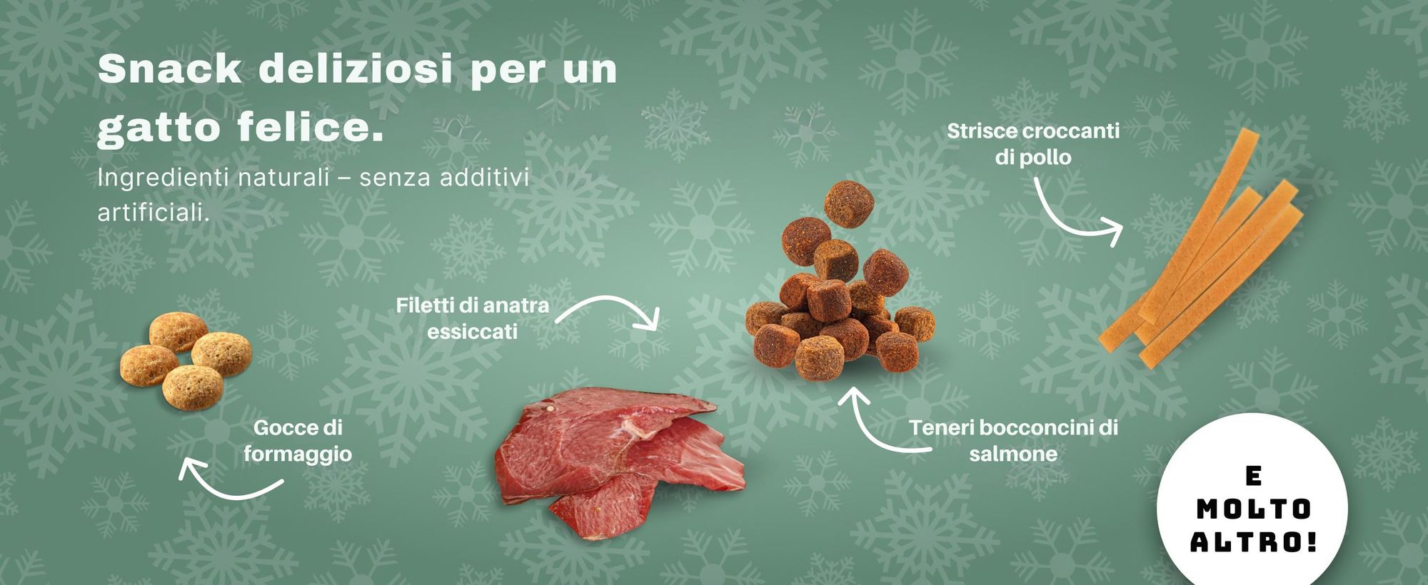 BOXILAND® calendario avvento gatto 2026, 24 snack gatto, premi, 16 varietà