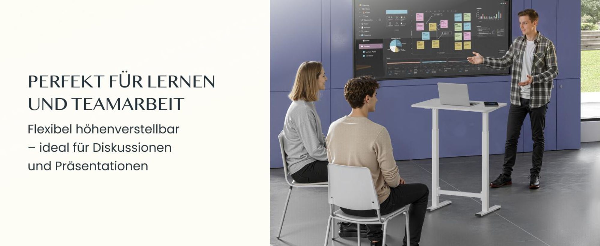 FLEXISPOT Gasfeder Höhenverstellbarer Schreibtisch 80×50 cm – stufenlos manuell verstellbar, Steh-Sitz-Tisch ohne Strom, mobil mit Rollen (Weiß)