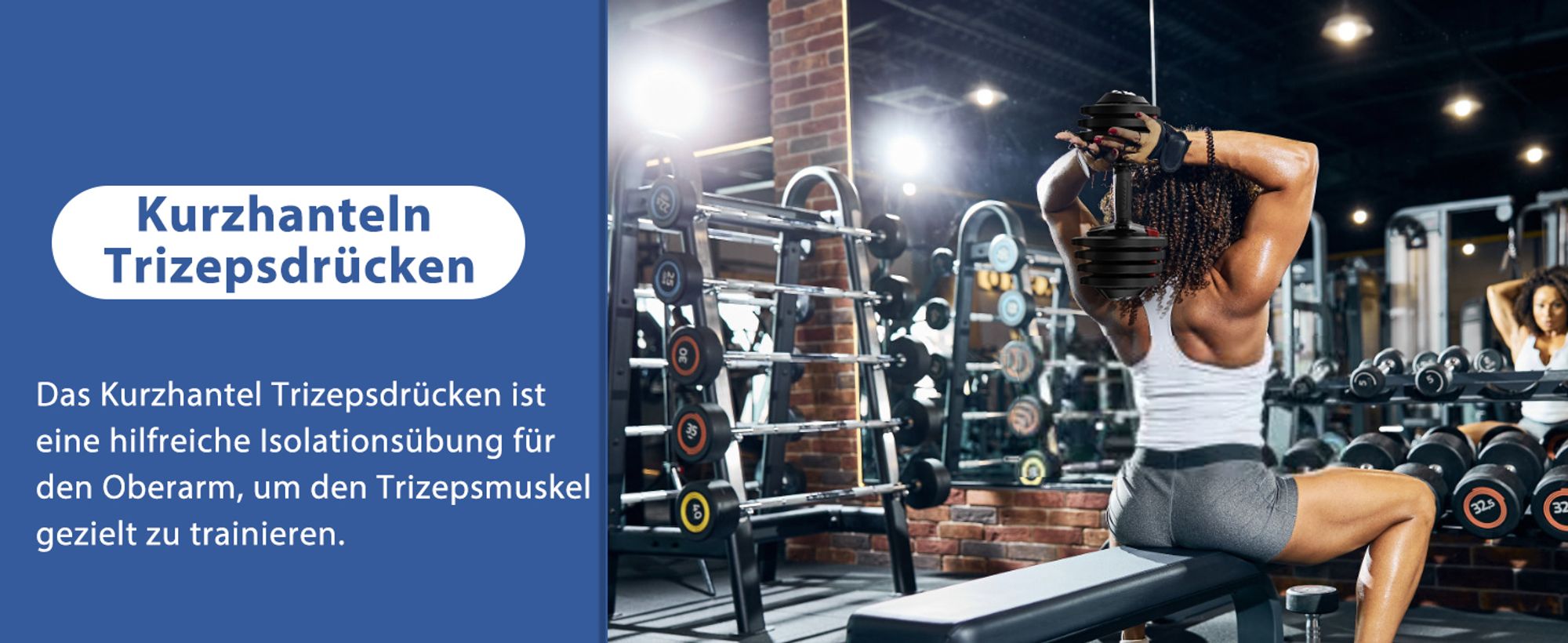 DH FitLife 1 x 18kg (1 Stück) verstellbare Hanteln 1,5 bis 18 KG mit 12 Gewichtsstufen, Kurzhanteln Hanteln Set mit Hantelscheiben, Hanteln Kurzhanteln verstellbar