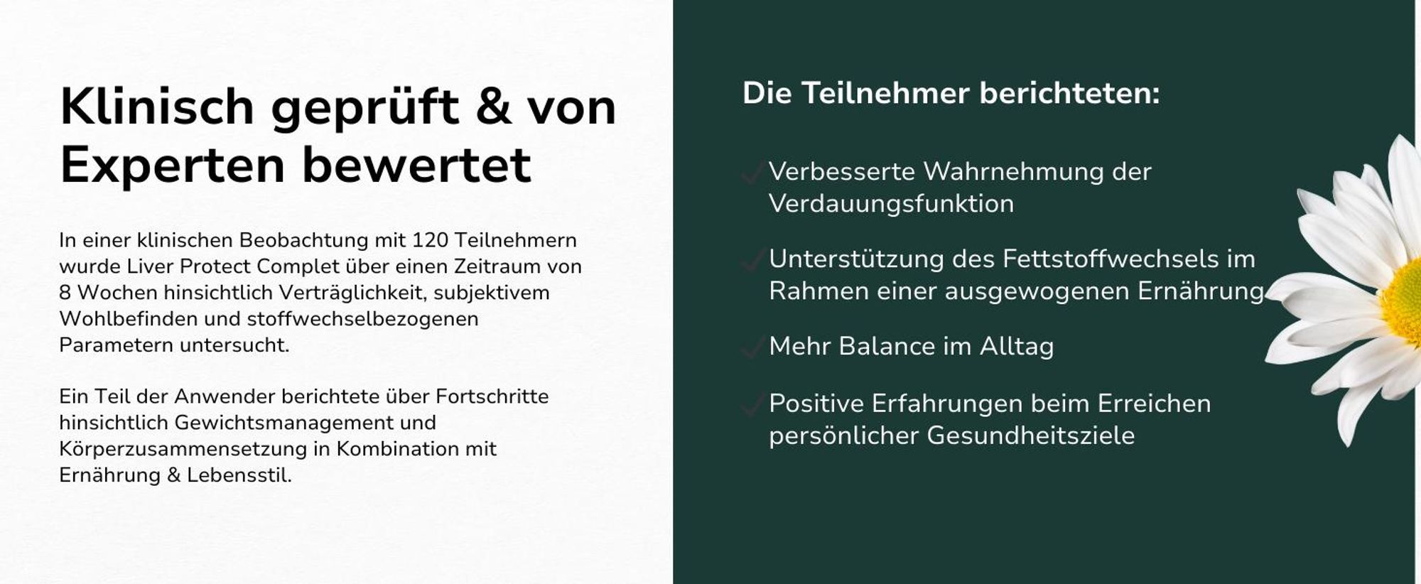 Informationen zur klinischen Beobachtung von Liver Protect Complet