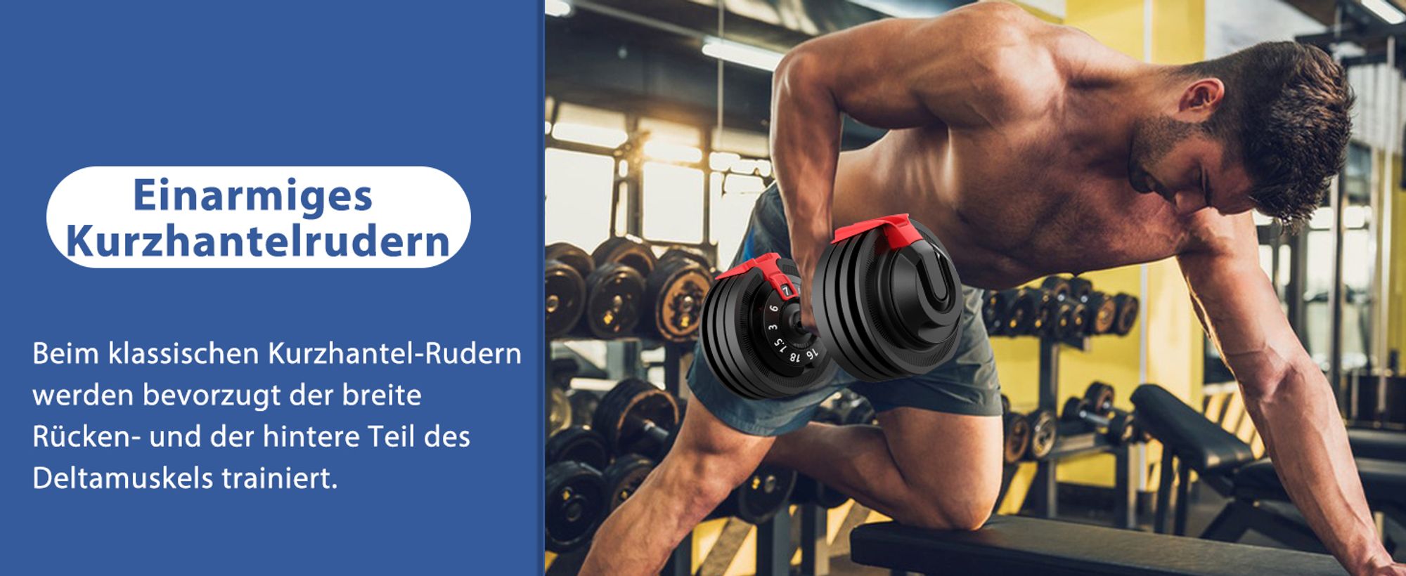 DH FitLife 1 x 18kg (1 Stück) verstellbare Hanteln 1,5 bis 18 KG mit 12 Gewichtsstufen, Kurzhanteln Hanteln Set mit Hantelscheiben, Hanteln Kurzhanteln verstellbar