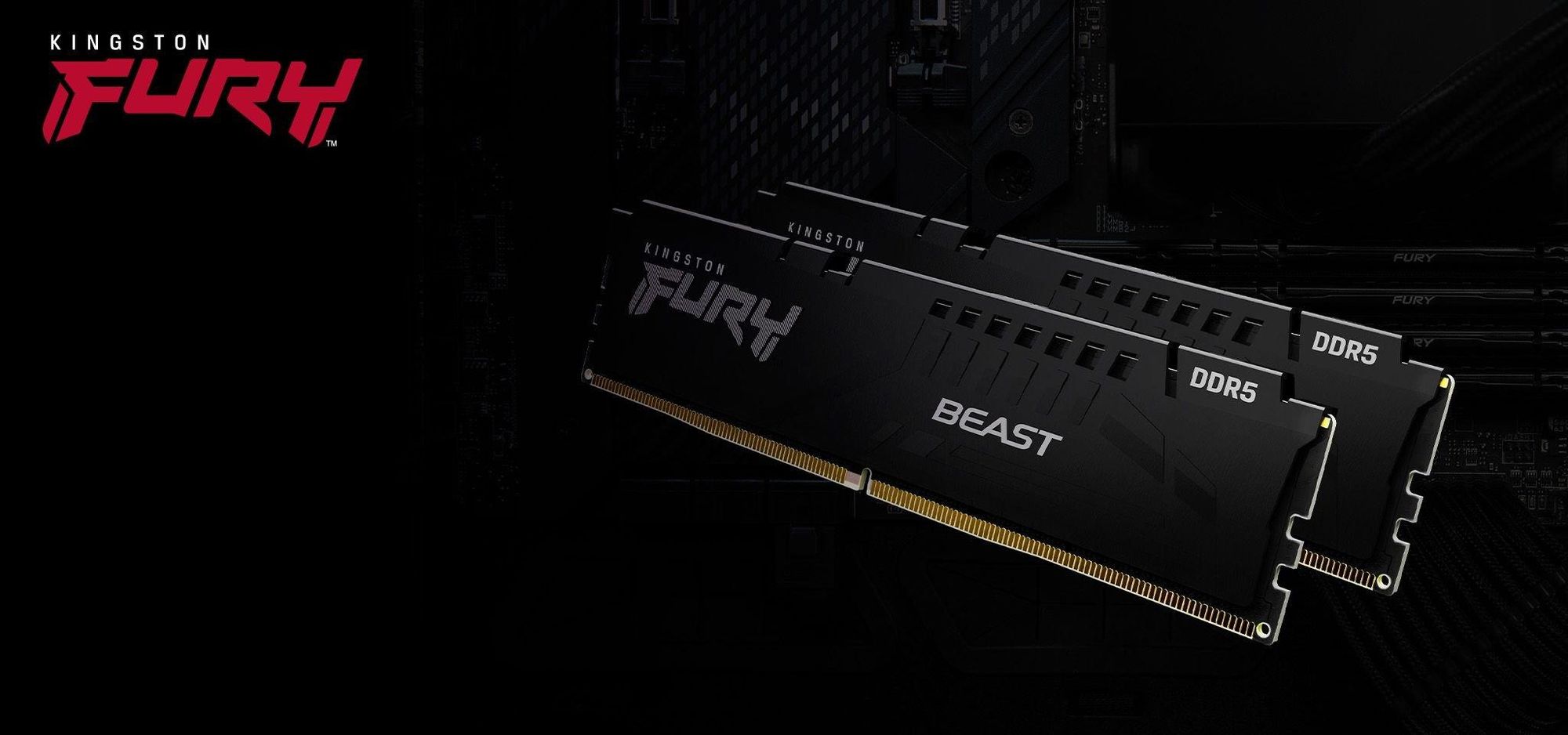 Kingston FURY Beast - DDR5 - Kit - 32 GB: 2 x 16 GB - DIMM 288-PIN - 5600 MHz / PC5-44800 - CL36 - 1.25 V - ungepuffert - on-die ECC - Schwarz