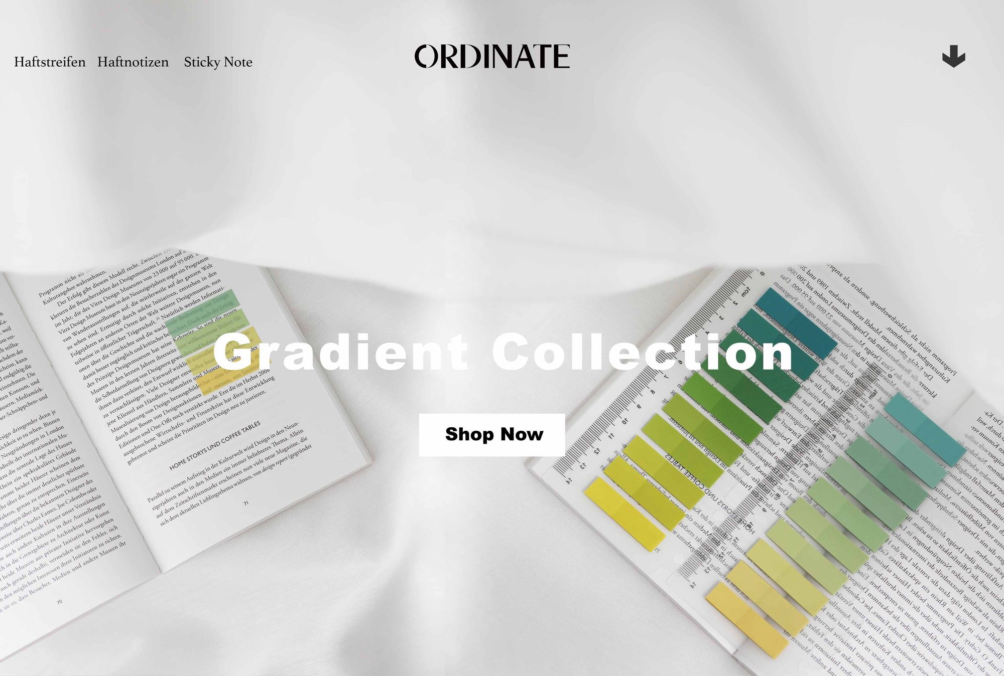 Ordinate-Blueberry Mist | 200 Stück Sticky Notes | Transparent Haftnotizen zum Markieren | Haftstreifen | Seitenmarkieren | Haftnotizzettel