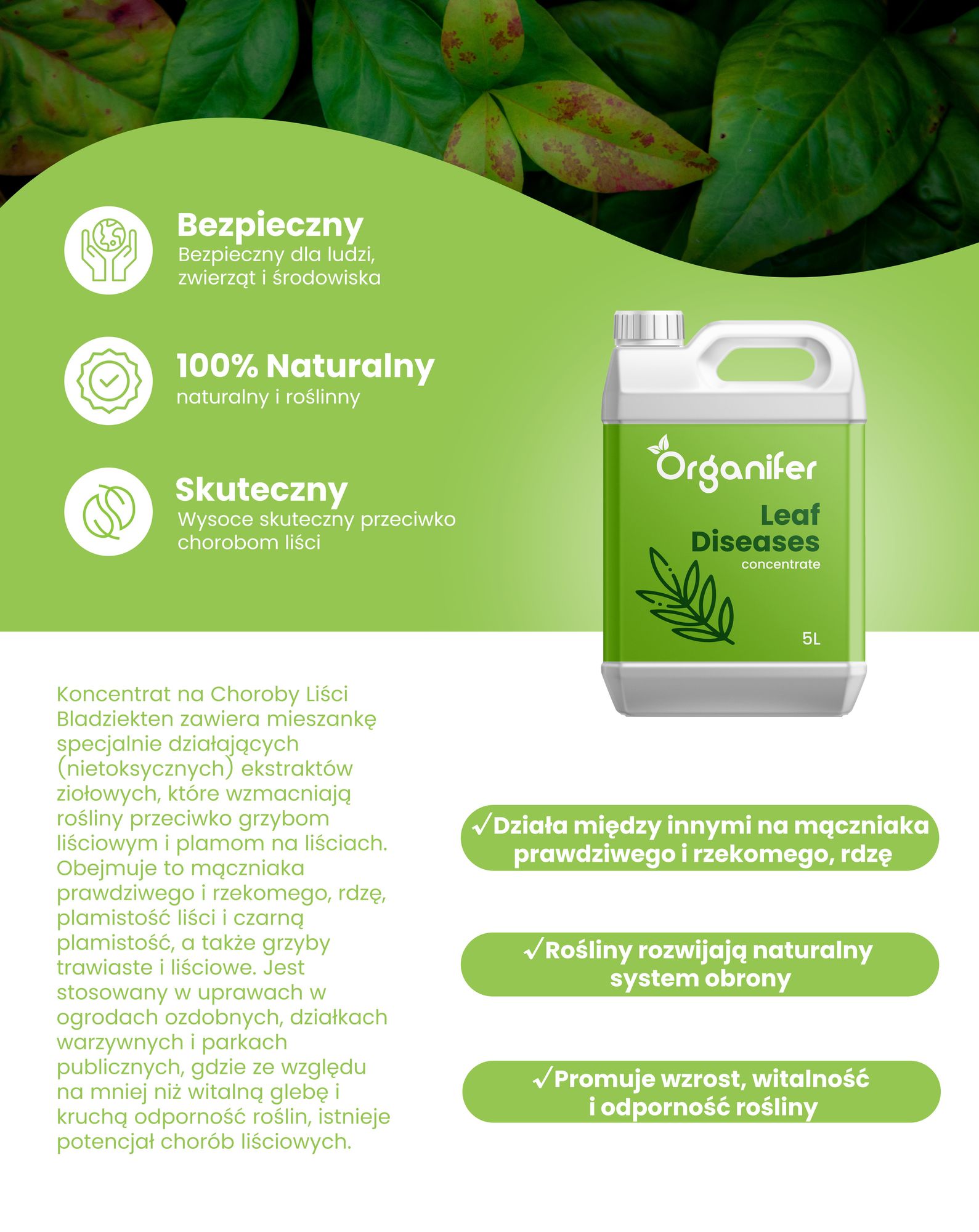Koncentrat na Choroby Liści – 250 ml na 250 m2 - Organifer