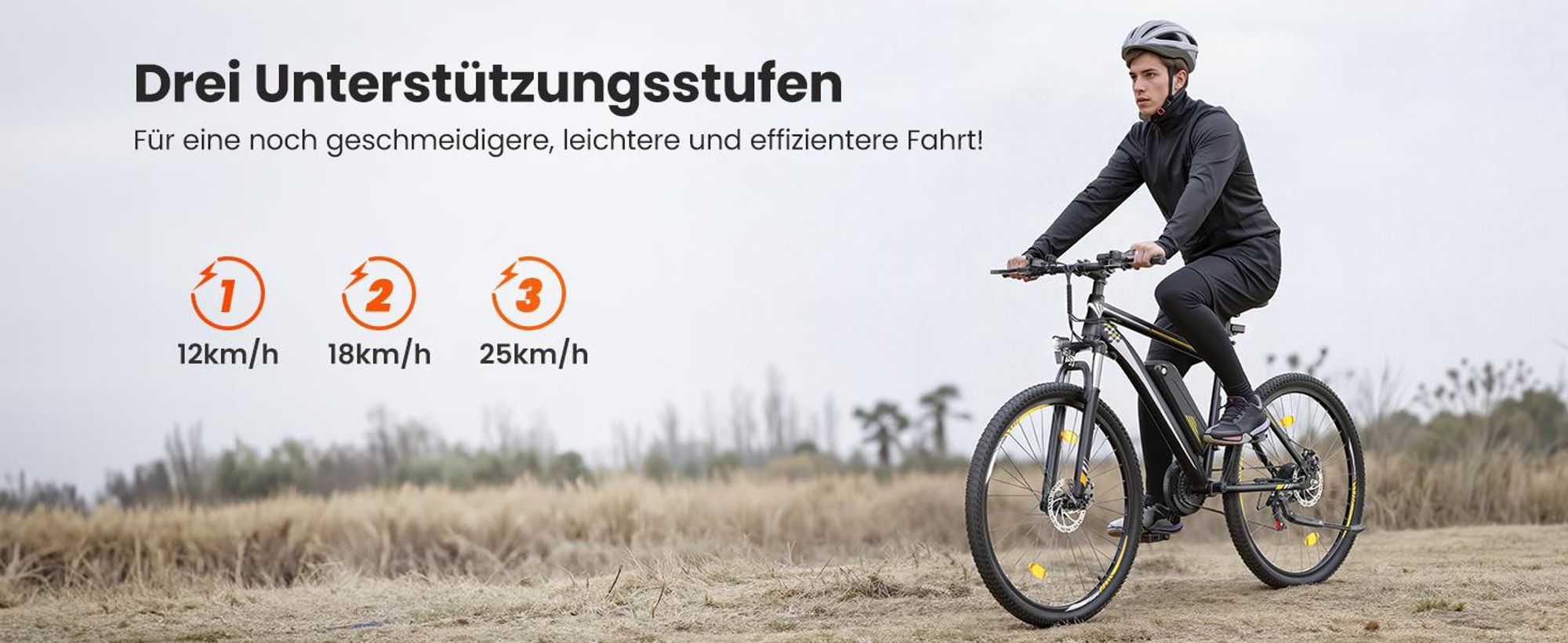 Touroll U1 26 E-Bike 26 Zoll 250W 468Wh Shimano 21-Gang 65km Reichweite StVZO IPX4 Schwarz