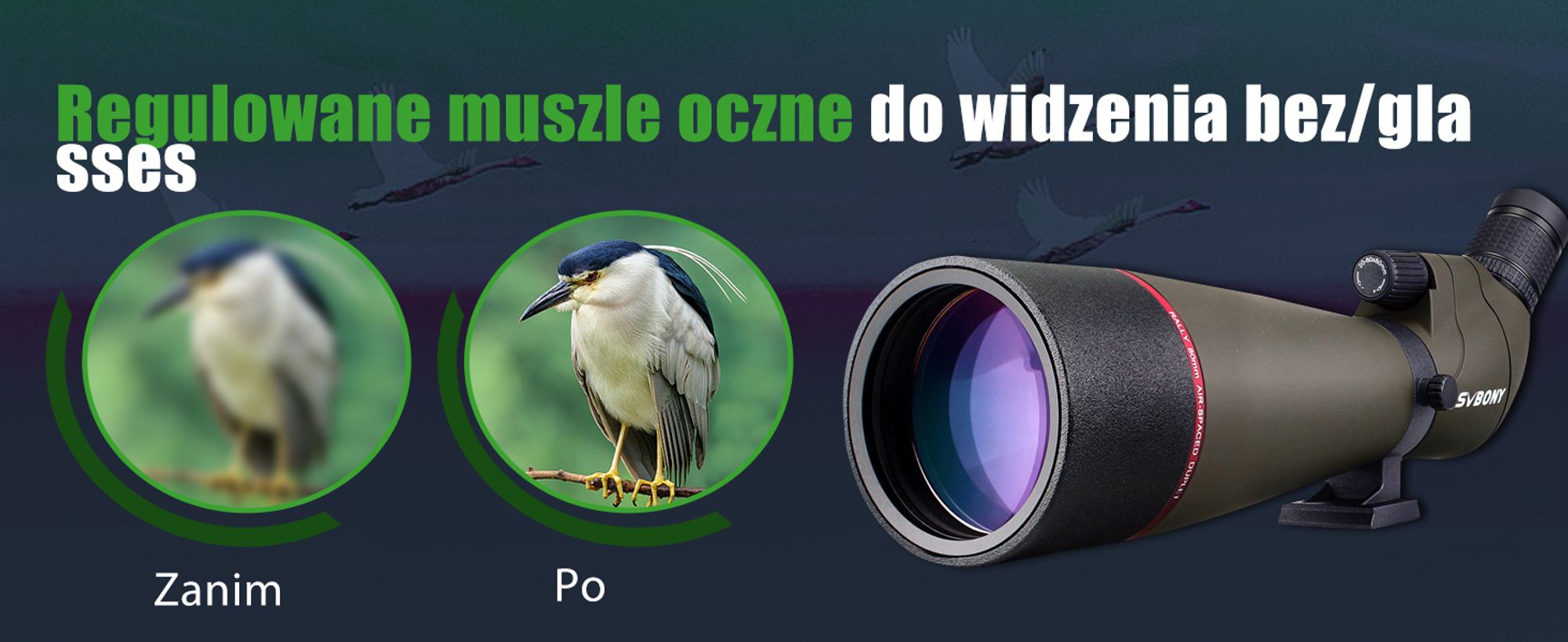 Luneta Svbony SV13 20-60x80 z adapterem do smartfona, wodoodporna lornetka lornetkowa HD z futerałem, teleskop kątowy FMC Optics