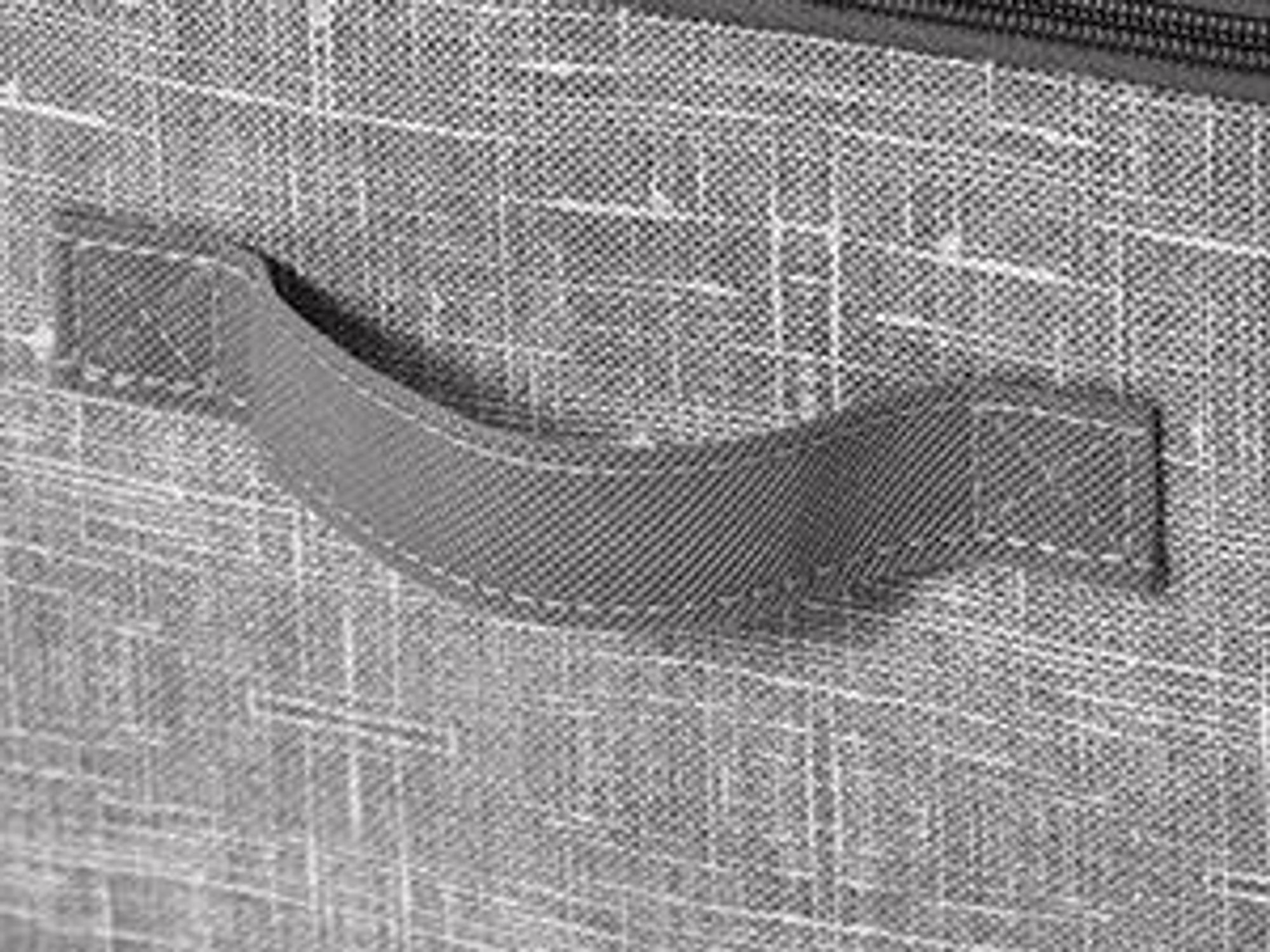 Schuh-Organizer, für bis zu 16 Paar Schuhe, Schuhaufbewahrung, Griffe, transparenter Deckel, für Schlafzimmer, schilfgrau