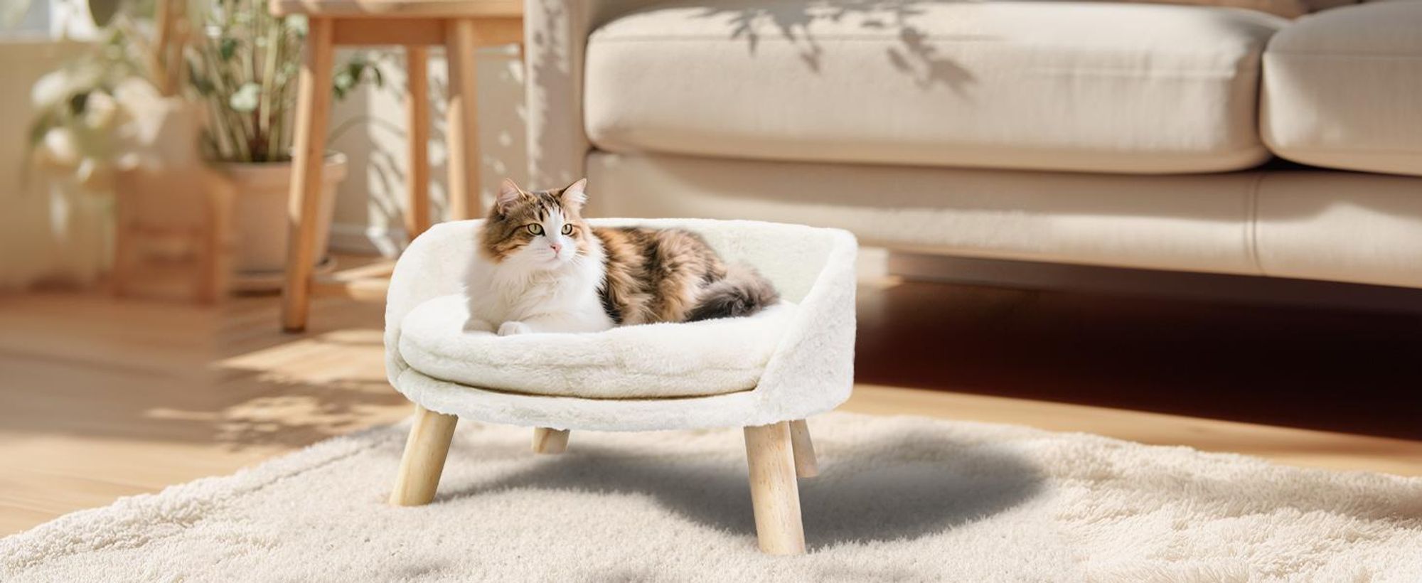 WISFOR Hundesofa mit Weichem Bezug, Haustiersofa Katzensofa Holzbeinen Rückenlehne,Hundebett 51.5x32cm
