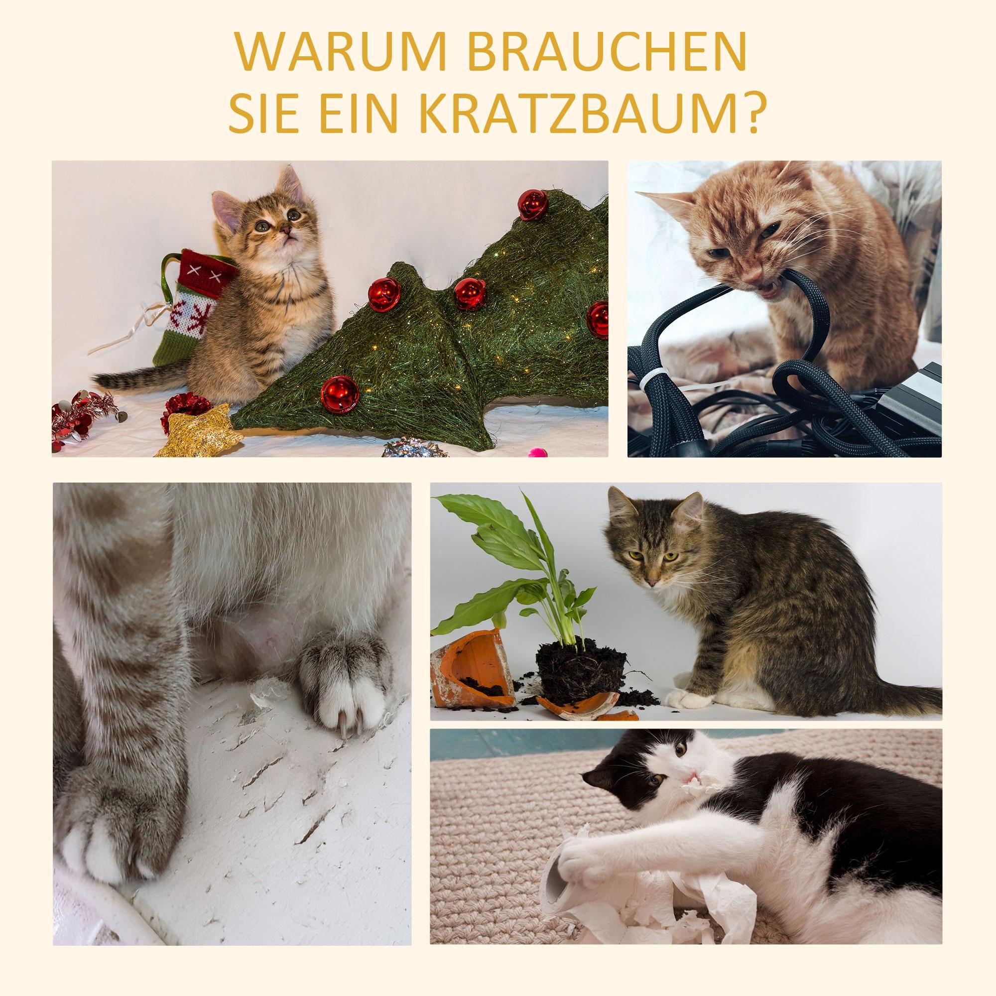 Kletterbaum Ebenen Grau