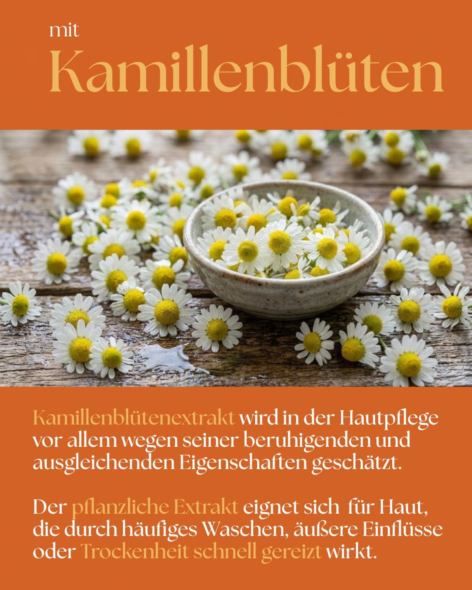 VALENTIN Kosmetik Handcreme Orange & Sandelholz mit Sheabutter, Aloe Vera, Kamillenblütenextrakt & Vitamin E 300ml