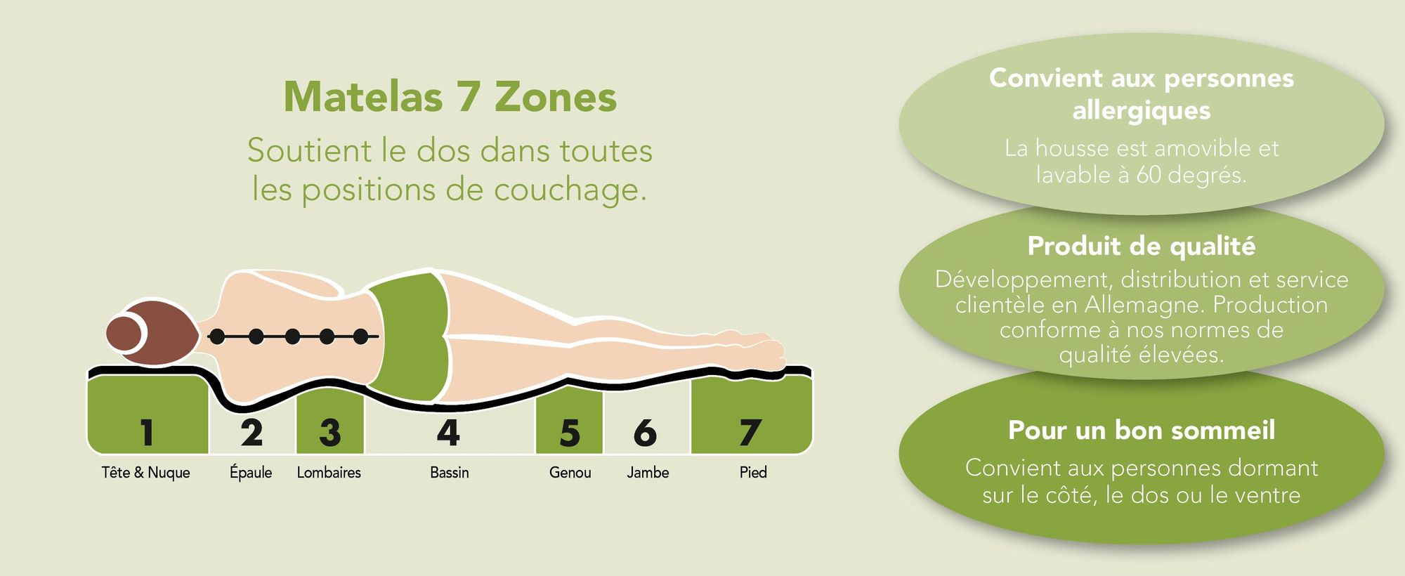 Matelas ergonomique 7 zones en mousse froide | 80 x 200 cm | 11cm | H2 & H3 | DREAMSTAR Easy Flex