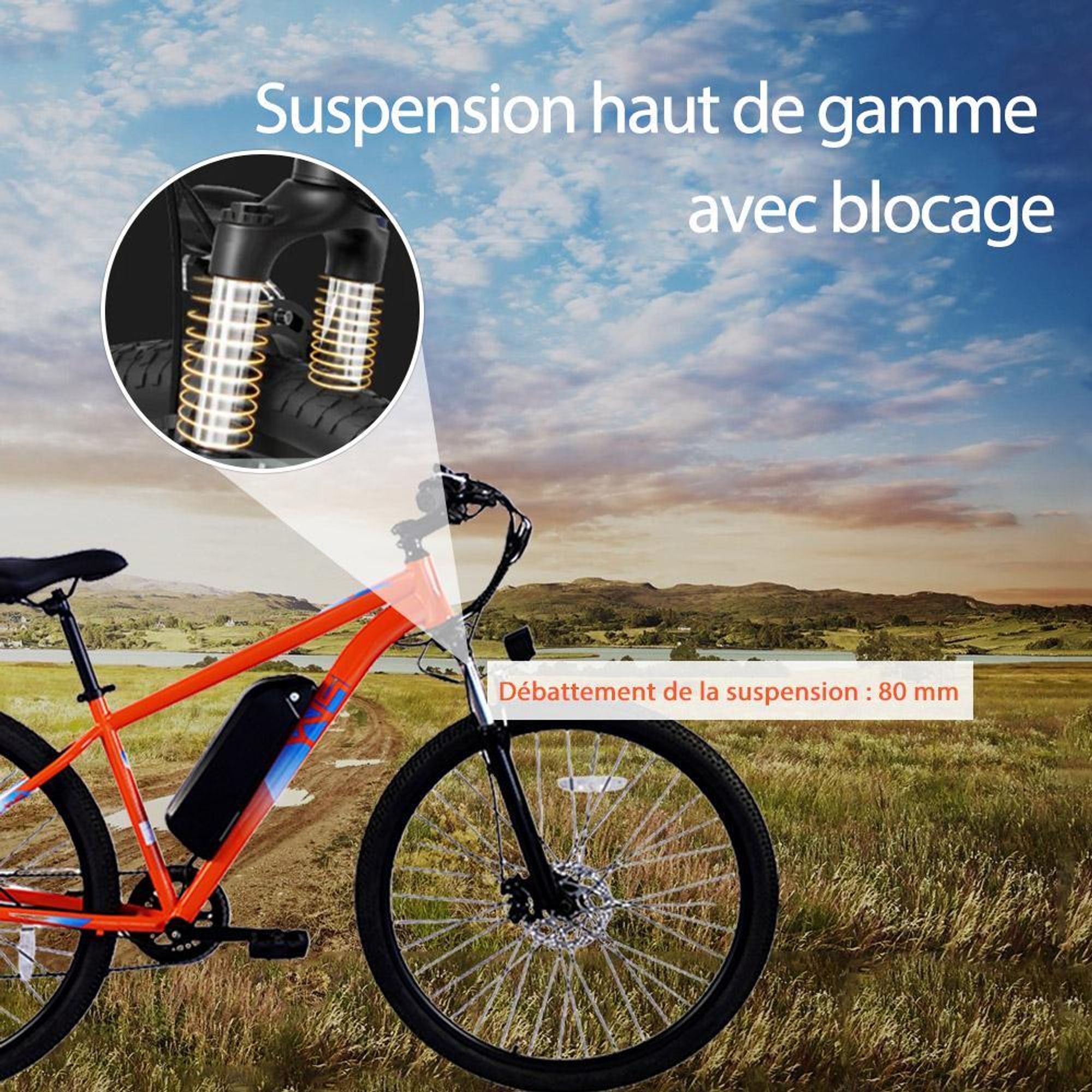 PVY M29 Vélo Électrique - Moteur 250W Batterie 48V17.5AH Pneus 29" Freins à Disque Mécaniques - Gris