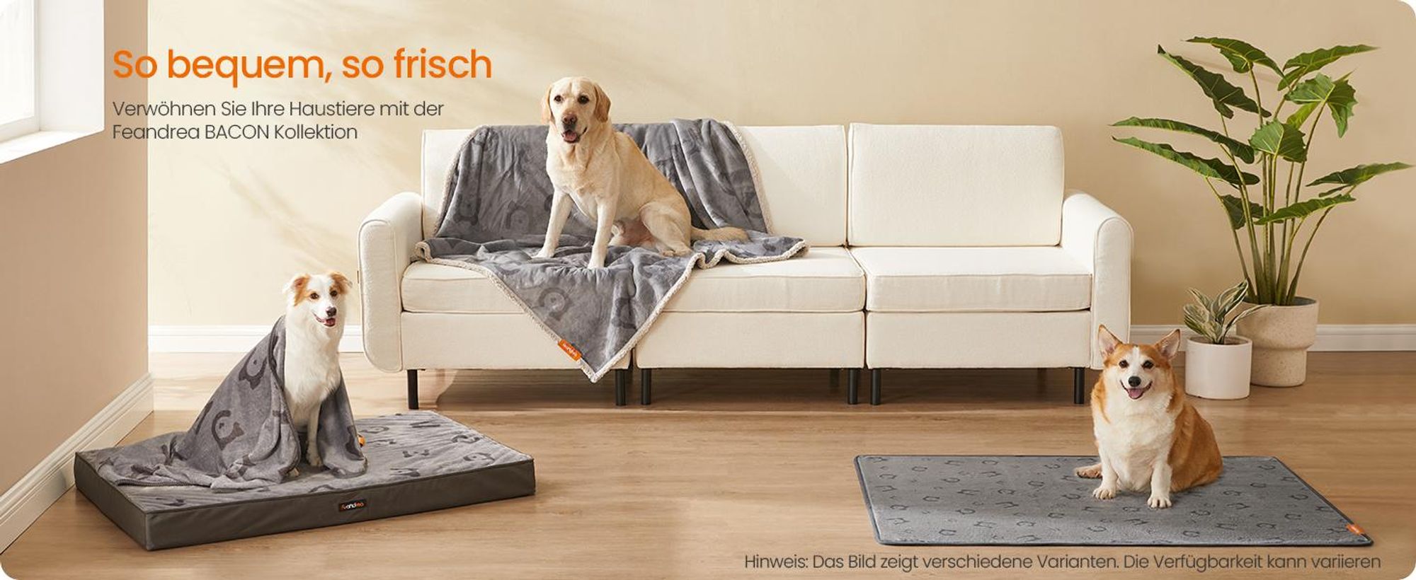Feandrea Hundedecke, 2er Set, wasserdicht, auslaufsicher, 90 x 60 cm, Wiederverwendbare Hundematte, rutschfest, saugfähig für Hunde, Katzen, Kaninchen