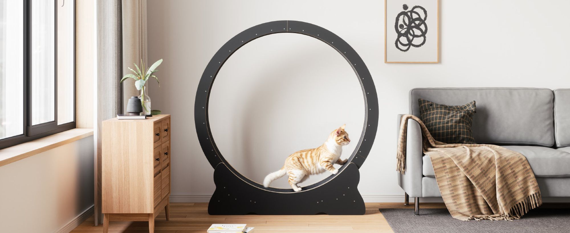 Mondeer Tier-Intelligenzspielzeug Laufband für Katzen,Innendurchmesser 100cm,Sicherheitsschloss-Design, Leises Scrollrad,110 x 117 x 36CM Schwarz