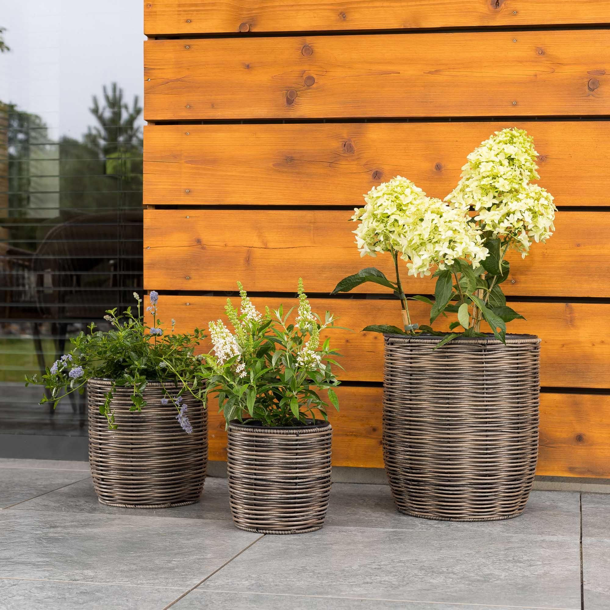 di volio Pflanzkübel Set 3-teilig Braun Rund Rattanoptik Blumenkübel GALPO