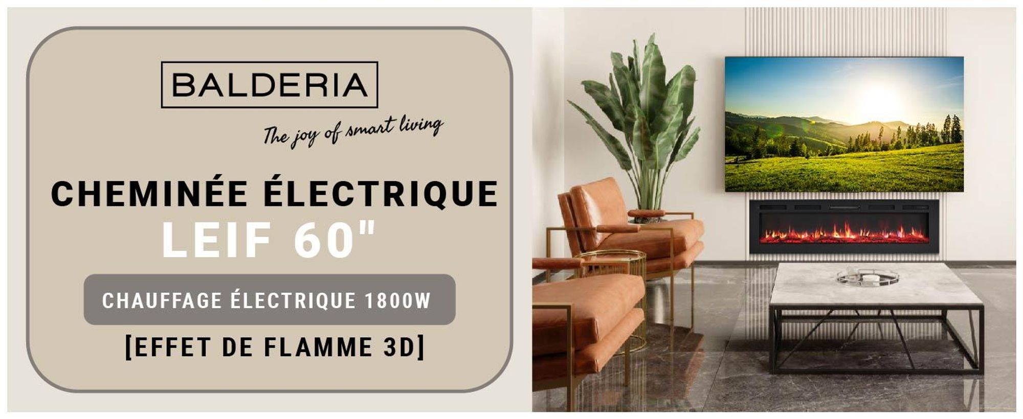 Cheminée électrique BALDERIA Leif 60 - 2 en 1 - noir