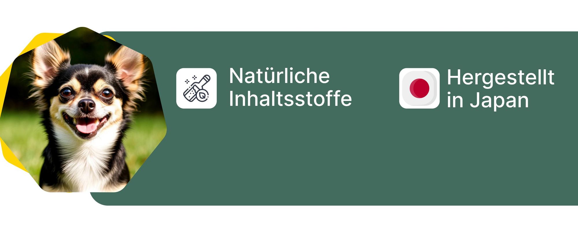 Japan Premium Bitterspray Hund & Katze 240 ml – Anti-Knabber & Anti-Kratz Erziehungsspray, natürlicher Knabberstopp für Haustiere