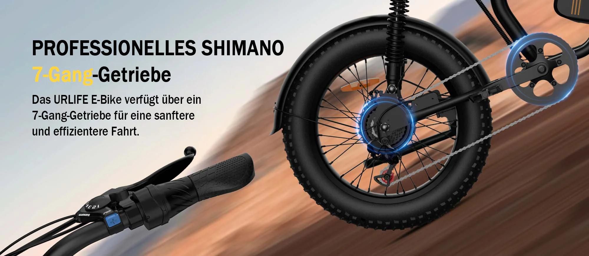 URLIFE T2 Elektrisches Fahrrad - Motor250W Batterie 48V 15.6Ah mit Scheibenbremse Trittunterstützung - Schwarz