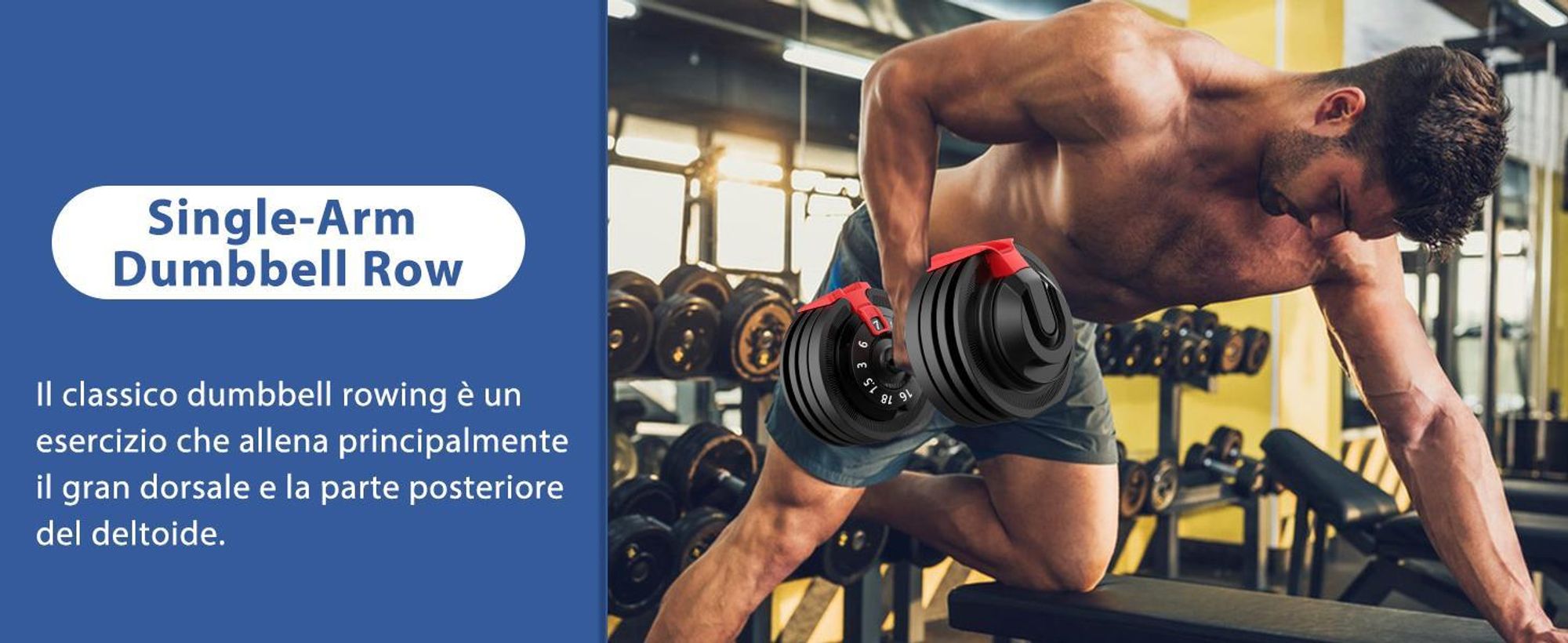 DH FitLife Set di Manubri Regolabili 12 Livelli da 2 kg a 12 kg con Base Porta Pesi per Allenamento Casa, Manubri Ergonomici per Fitness